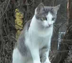 Picture of Jessie